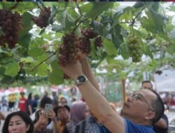 Agrowisata Sky Dragon Gate Farm Diresmikan, Algafry Apresiasi Mimpi Yohanes yang Menjadi Nyata