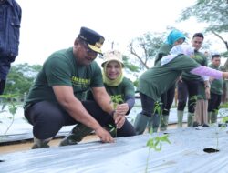 Gaungkan Semangat Menanam, Pj Gubernur Safrizal: Rumah Dinas Sebagai Percontohan