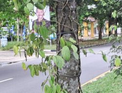 PROGRAM PEMERINTAH  PROVINSI BABEL YANG AMBURADUL HABISKAN UANG NEGARA.