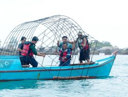 Restorasi Terumbu Karang, PT Timah Kembali Tenggelamkan 37 Unit Coral Garden di Pulau Putri