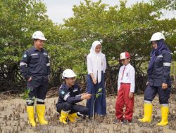 Gencarkan Penanaman Mangrove, Langkaa Nyata PT Timah Dalam Mitigasi Perubahan Iklim