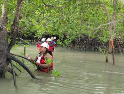 Rutin Lakukan Pemantauan Bioata Laut, Komitmen PT Timah Menjaga Keseimbangan Ekosistem Pesisir