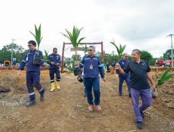 Dukung Program Ketahanan Pangan Nasional, PT Timah Bangun Tanjung Ular Farm Estate