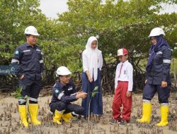 PT Timah Konsisten Mendukung Kelestarian Lingkungan Melalui Program Penanaman Pohon Berkala