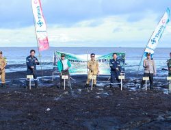 Cegah Abrasi dan Jaga Ekosistem Pesisir, PT Timah Tanam 3000 Mangrove di Pantai Sesai Party Beach