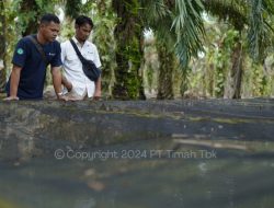 Gerakkan Ekonomi Masyarakat, PT Timah Berikan Bantuan Usaha untuk Kelompok Usaha Sumber Rezeki Bangka Barat