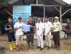 PT Timah Berikan Bantuan Pengembangan Kandang Ternak Kambing ke Kelompok Tani Berkah Makmur Desa Sekar Biru Parit Tiga