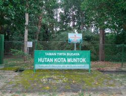Hutan Kota Mentok, Komitmen PT Timah Jaga Flora Fauna Endemik dan Kawasan Konservasi