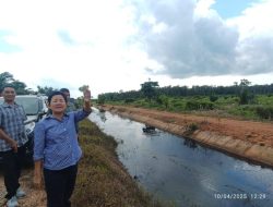 DPRD Babel Kritik Perkebunan Sawit yang Ancam Ketahanan Pangan di Bangka Selatan