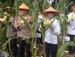 Bulan Puasa Kian Menghitung Hari, Kecukupan Pangan Masyarakat Harus Dipastikan