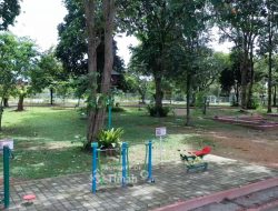 Tins Green Garden Foresttree, Ruang Terbuka Hijau yang Dikelola PT Timah untuk Mendukung Gaya Hidup Sehat