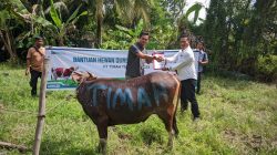 PT Timah Distribusikan Hewan Kurban ke Pulau dan Desa Terpencil, Berbagi Kebahagiaan dengan Masyarakat di Kabupaten Kepulauan Meranti