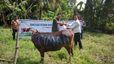 PT Timah Distribusikan Hewan Kurban ke Pulau dan Desa Terpencil, Berbagi Kebahagiaan dengan Masyarakat di Kabupaten Kepulauan Meranti