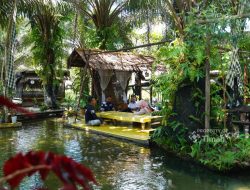 Harmoni Tambang dan Wisata, Awek Fishing and Resto Hadirkan Pemancingan dan Wisata Kuliner Khas Bangka Selatan