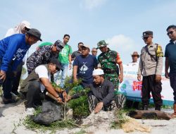 Tanam Pohon Peneduh di Kawasan Wisata Batu Tunggal, Langkah Nyata PT Timah Dalam Pelestarian Lingkungan dan Pariwisata Berkelanjutan
