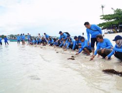 Dukung Pariwisata dan Ekosistem Laut, PT Timah Tbk Bersama AAI Sumbagsel Lepasliar Tukik Sisik di Pulau Kelayang