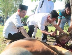 SMPN 1 Simpang Katis Berkurban 3 Sapi dan 2 Kambing, Wabup: Ini Pendidikan Sosial yang Nyata