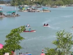 Lestarikan Lingkungan dan Budaya Masyarakar Pesisir, PT Timah Dukung Lomba Dayung dan Penanaman Mangrove Bersama HNSI Bangka