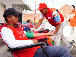 Kolaborasi PT Timah dan PMI Bangka Selatan, Himpun Puluhan Kantong Darah dalam Bulan Bakti HUT ke-49 PT Timah di Toboali