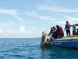 Coral Garden PT Timah: Kolaborasi Rawat Laut yang Hasilkan Ikan, Wisata, dan Harapan Baru