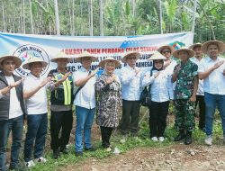 Bangun Harapan di Sekolah Luar Biasa: PT Timah Berikan Pelatihan Membatik Eco Print Bersama SLB Mentok