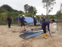 PT Timah Tbk Bersama Tim Gabungan Tertibkan Tambang Ilegal di Belitung