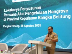 Kaya Potensi, Pemprov dan YKAN Gagas Program Konservasi Mangrove Bertajuk Serumpun Sebalai Babel