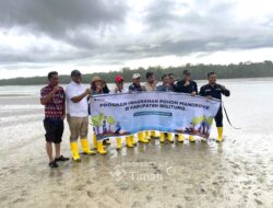 PT TIMAH Tbk Tanam Mangrove di Belitung, Perkuat Ketahanan Pesisir dan Ekonomi Masyarakat