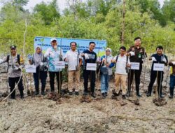 Jaga Ekosistem Pesisir, PT TIMAH Tbk Tanam Ribuan Mangrove di Pantai Kobel Kundur