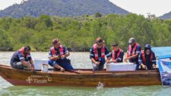 Jaga Ekosistem dan Ekonomi Pesisir, PT TIMAH (Persero) Tbk  Restocking 1.400 Kepiting Bakau di Kepulauan Riau