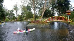 Hijau, Nyaman, dan Edukatif: Tins Green Garden Foresttree Jadi Destinasi Favorit Warga