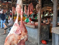 Jelang Idulfitri 2026, Harga Daging Sapi di Pangkalpinang Masih Stabil, Ayam Mulai Naik