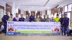 PT TIMAH Kembali Distribusikan Hewan Kurban, Bupati Bangka Tengah: Bentuk Kepedulian yang Konsisten
