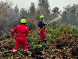 PT TIMAH Kerahkan Personel Fire Fighter Bersama Grup MIND ID Tangani Karhutla di Kalimantan Barat
