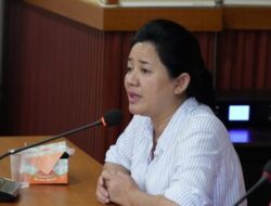 Soal Posisi Wagub Babel, Rina Tarol: Kalau Kami Dewan Diam, Dewannya yang Sakit