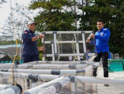 PT TIMAH dan HNSI Kolaborasi Tenggelamkan Atraktor Cumi di Perairan Bangka, Bantu Nelayan Hemat Biaya Melaut dan Jaga Ekosistem Pesisir